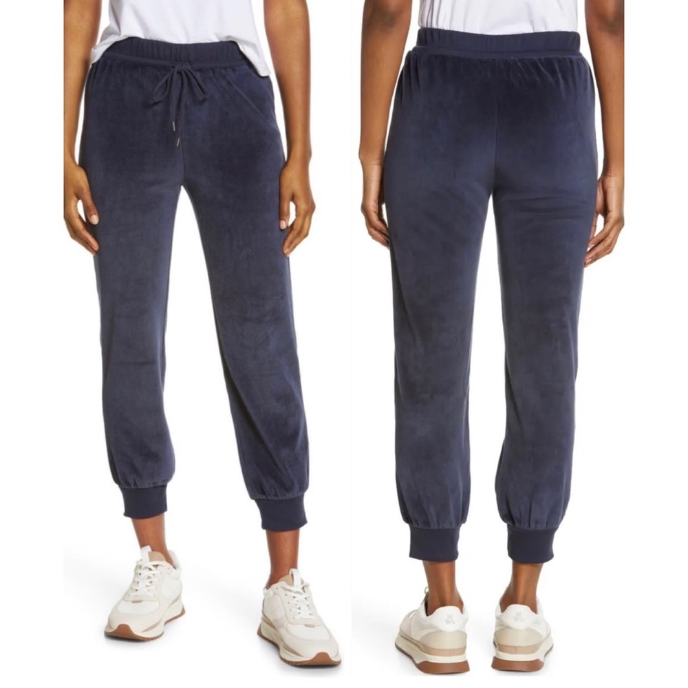 🌙 🌊❄️👟 MADEWELL Velvet-y Newark sweatpants- jogger 👟❄️🌊 🌙 NWT!!!